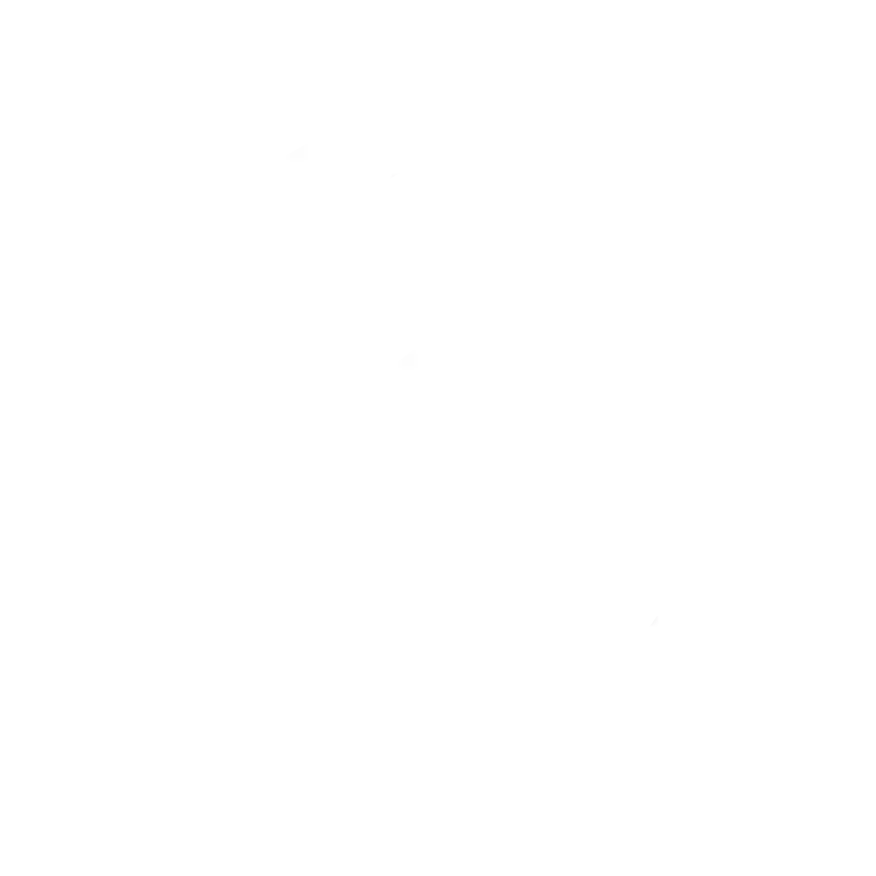 Integrity Icon